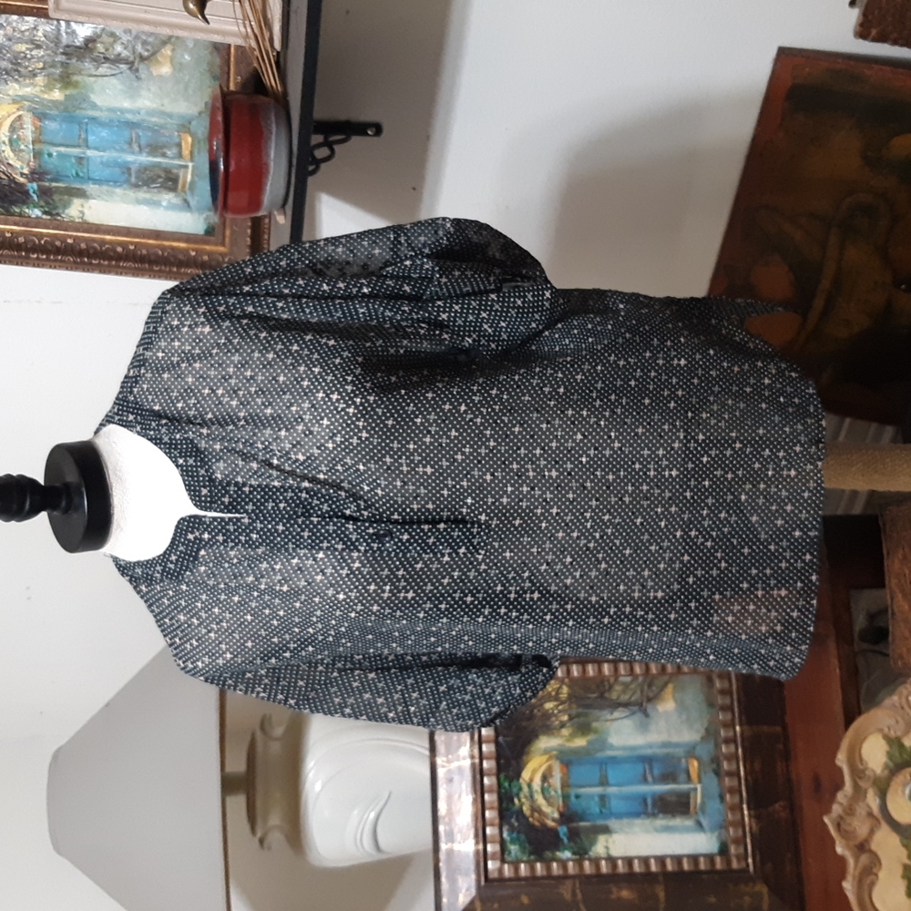 Womens Sheer Blouse shirt top CABI Medium b46